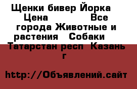 Щенки бивер Йорка  › Цена ­ 30 000 - Все города Животные и растения » Собаки   . Татарстан респ.,Казань г.